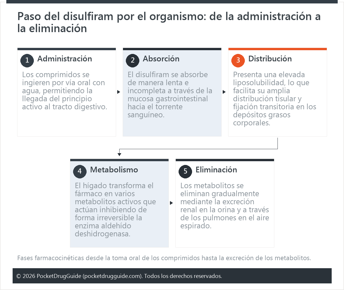 Paso del disulfiram por el organismo: de la administración a la eliminación