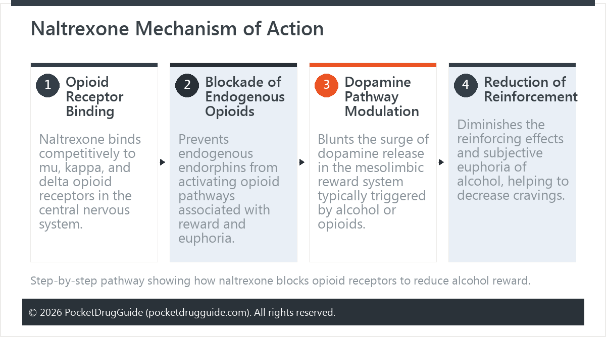 Naltrexone Mechanism of Action
