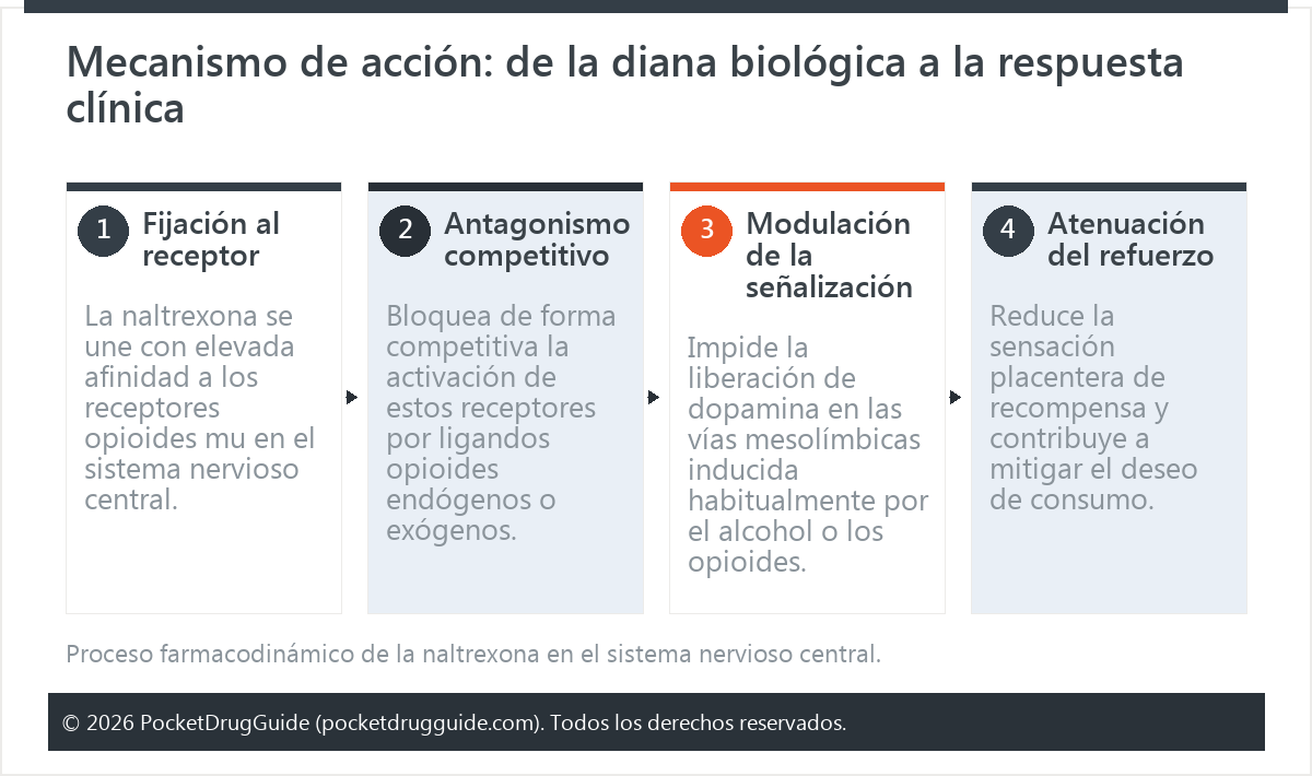 Mecanismo de acción: de la diana biológica a la respuesta clínica