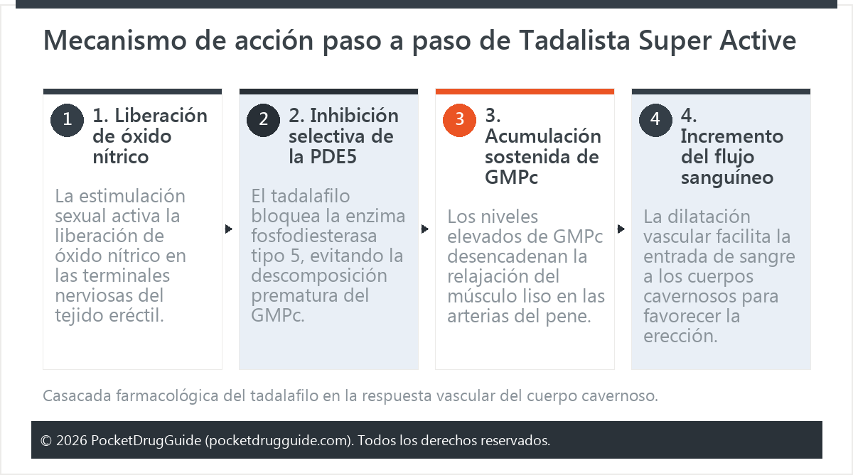 Mecanismo de acción paso a paso de Tadalista Super Active