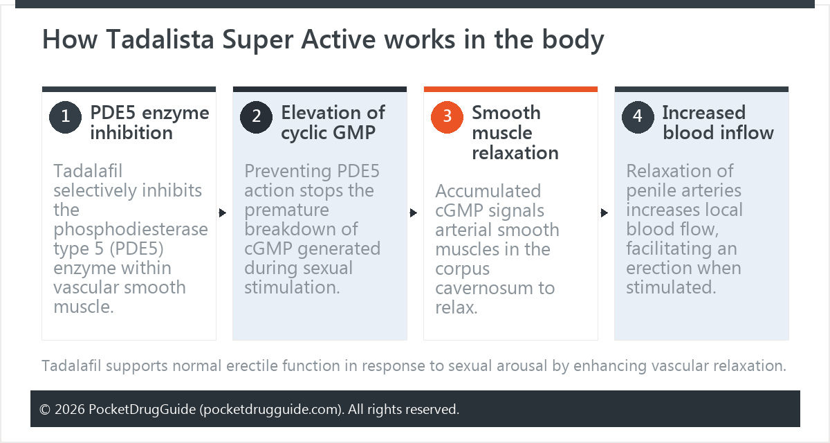 How Tadalista Super Active works in the body